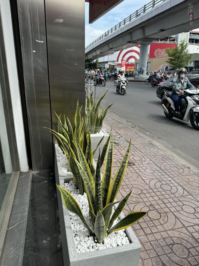 Cho thuê nhà mặt tiền số 412 đường Nguyễn Văn Nghi, Phường 7, Quận Gò Vấp, Hồ Chí Minh