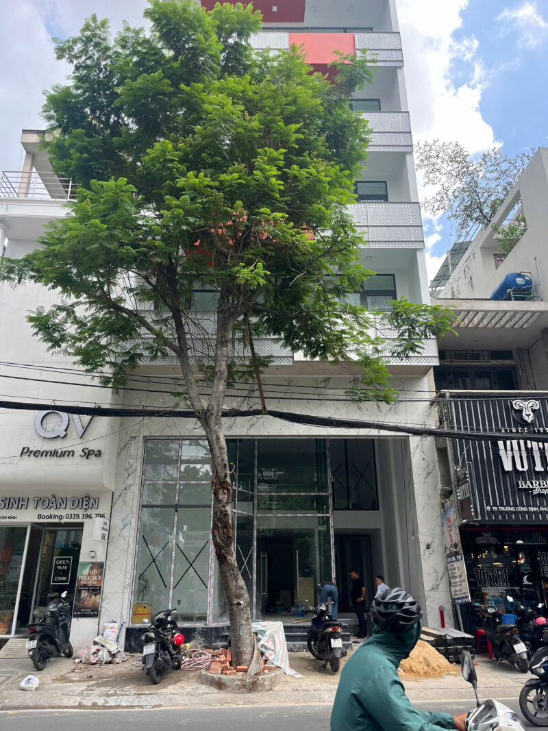 CHO THUÊ NHÀ MẶT TIỀN SỐ 80-82 ĐƯỜNG TRƯƠNG CÔNG ĐỊNH, PHƯỜNG 14, QUẬN TÂN BÌNH, HỒ CHÍ MINH