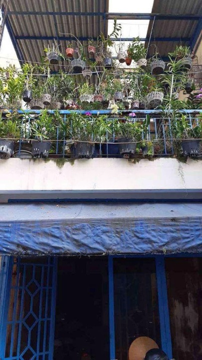 CHO THUÊ NHÀ MẶT TIỀN SỐ AA10 ĐƯỜNG THẤT SƠN, PHƯỜNG 15, QUẬN 10, HỒ CHÍ MINH CHO THUÊ NHÀ MẶT TIỀN SỐ AA10 ĐƯỜNG THẤT SƠN, PHƯỜNG 15, QUẬN 10, HỒ CHÍ MINH