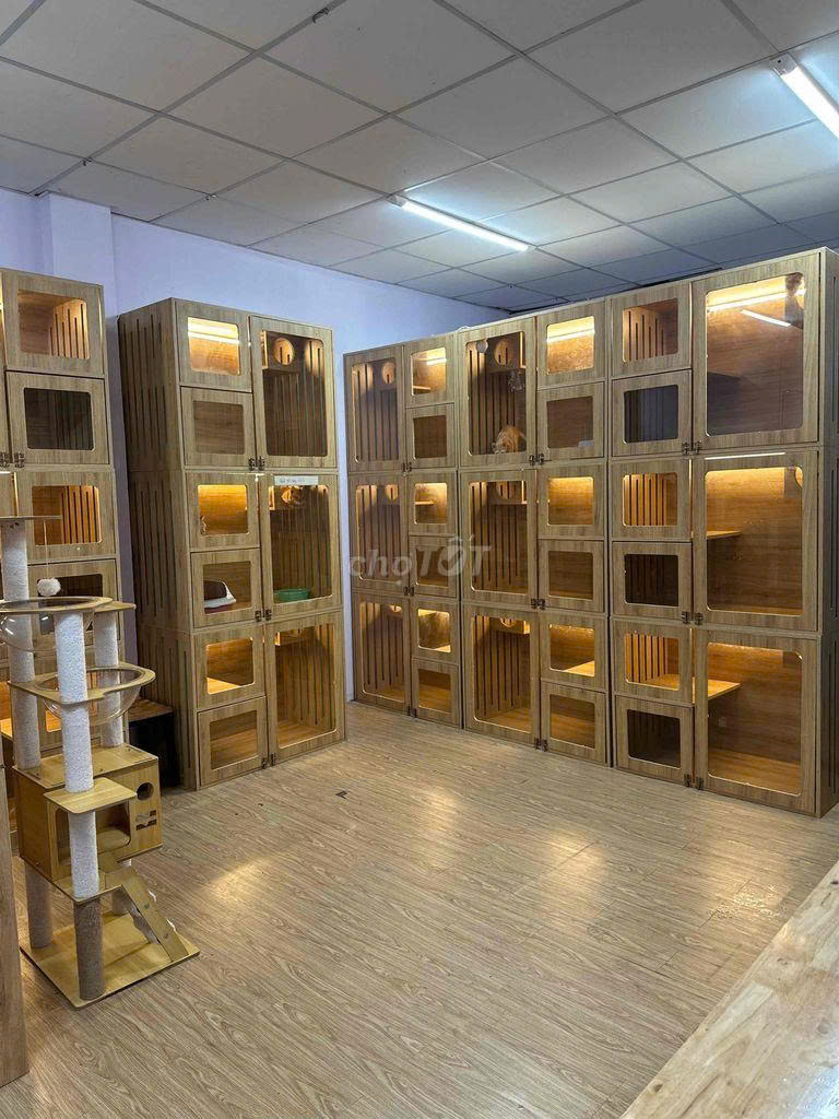 CHO THUÊ NHÀ MẶT TIỀN SỐ 247 ĐƯỜNG THỐNG NHẤT, PHƯỜNG 16, QUẬN GÒ VẤP, HỒ CHÍ MỊNH CHO THUÊ NHÀ MẶT TIỀN SỐ 247 ĐƯỜNG THỐNG NHẤT, PHƯỜNG 16, QUẬN GÒ VẤP, HỒ CHÍ MỊNH