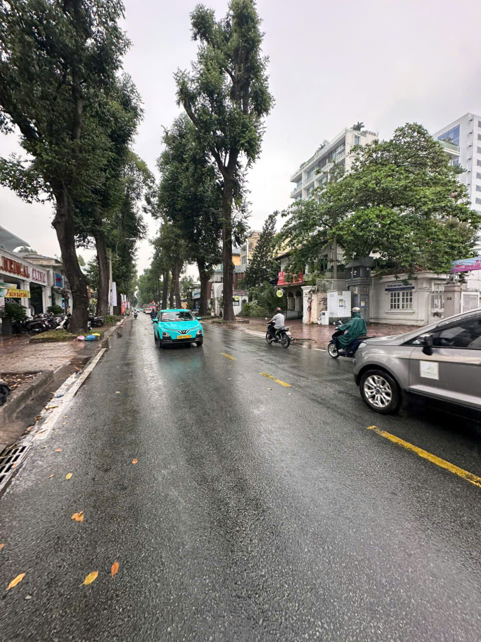 CHO THUÊ NHÀ MẶT TIỀN SỐ 55 TRẦN QUỐC THẢO PHƯỜNG VÕ THỊ SÁU QUẬN 3 HỒ CHÍ MINH CHO THUÊ NHÀ MẶT TIỀN SỐ 55 TRẦN QUỐC THẢO PHƯỜNG VÕ THỊ SÁU QUẬN 3 HỒ CHÍ MINH