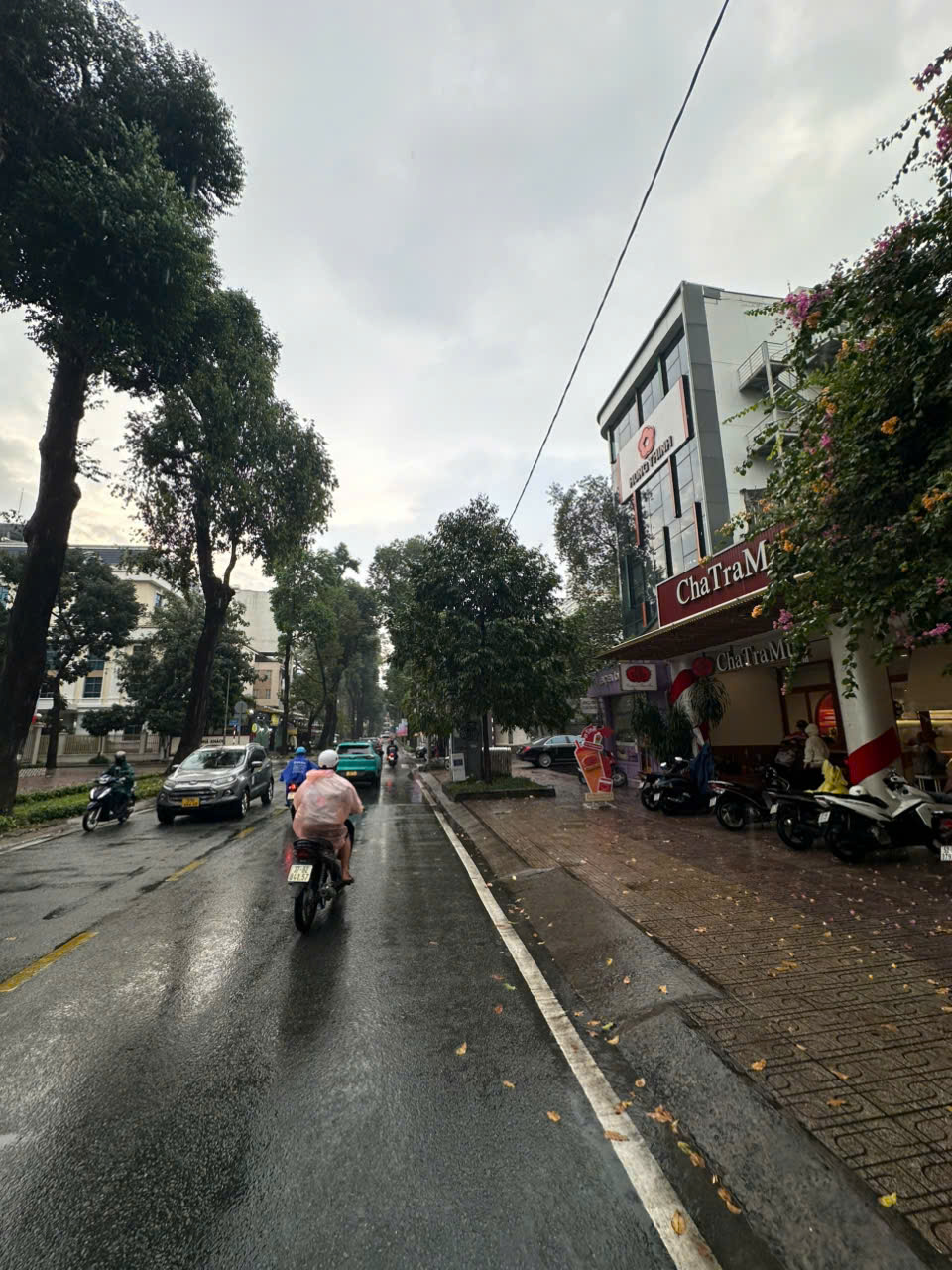 CHO THUÊ NHÀ MẶT TIỀN SỐ 55 TRẦN QUỐC THẢO PHƯỜNG VÕ THỊ SÁU QUẬN 3 HỒ CHÍ MINH CHO THUÊ NHÀ MẶT TIỀN SỐ 55 TRẦN QUỐC THẢO PHƯỜNG VÕ THỊ SÁU QUẬN 3 HỒ CHÍ MINH