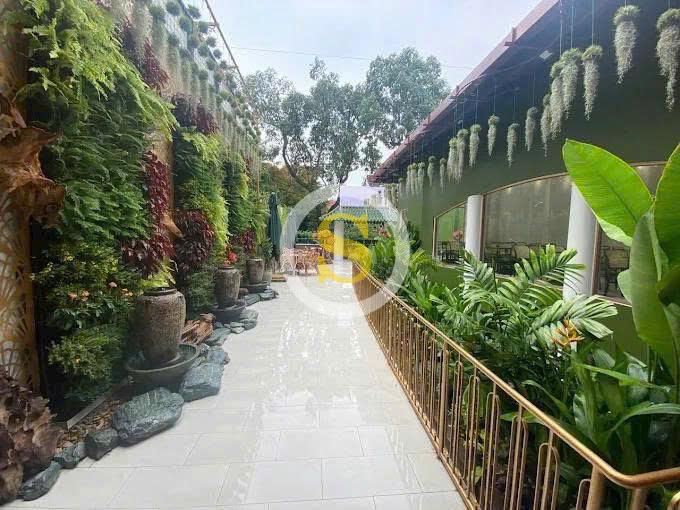 CHO THUÊ NHÀ MẶT TIỀN SỐ 252 ĐIỆN BIÊN PHỦ, PHƯỜNG VÕ THỊ SÁU, QUẬN 3, HỒ CHÍ MINH CHO THUÊ NHÀ MẶT TIỀN SỐ 252 ĐIỆN BIÊN PHỦ, PHƯỜNG VÕ THỊ SÁU, QUẬN 3, HỒ CHÍ MINH