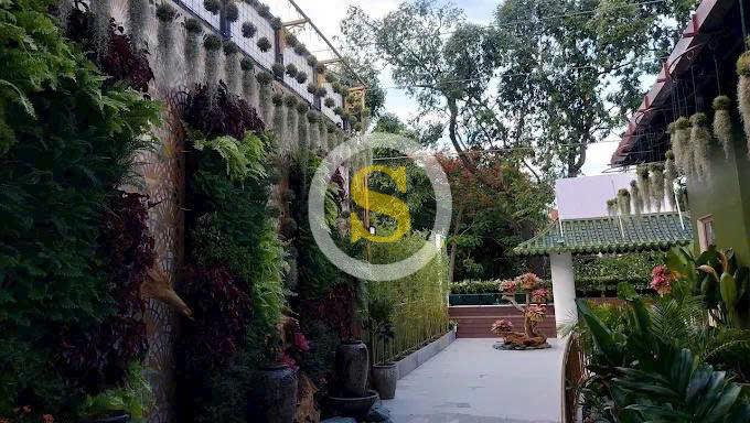 CHO THUÊ NHÀ MẶT TIỀN SỐ 252 ĐIỆN BIÊN PHỦ, PHƯỜNG VÕ THỊ SÁU, QUẬN 3, HỒ CHÍ MINH CHO THUÊ NHÀ MẶT TIỀN SỐ 252 ĐIỆN BIÊN PHỦ, PHƯỜNG VÕ THỊ SÁU, QUẬN 3, HỒ CHÍ MINH