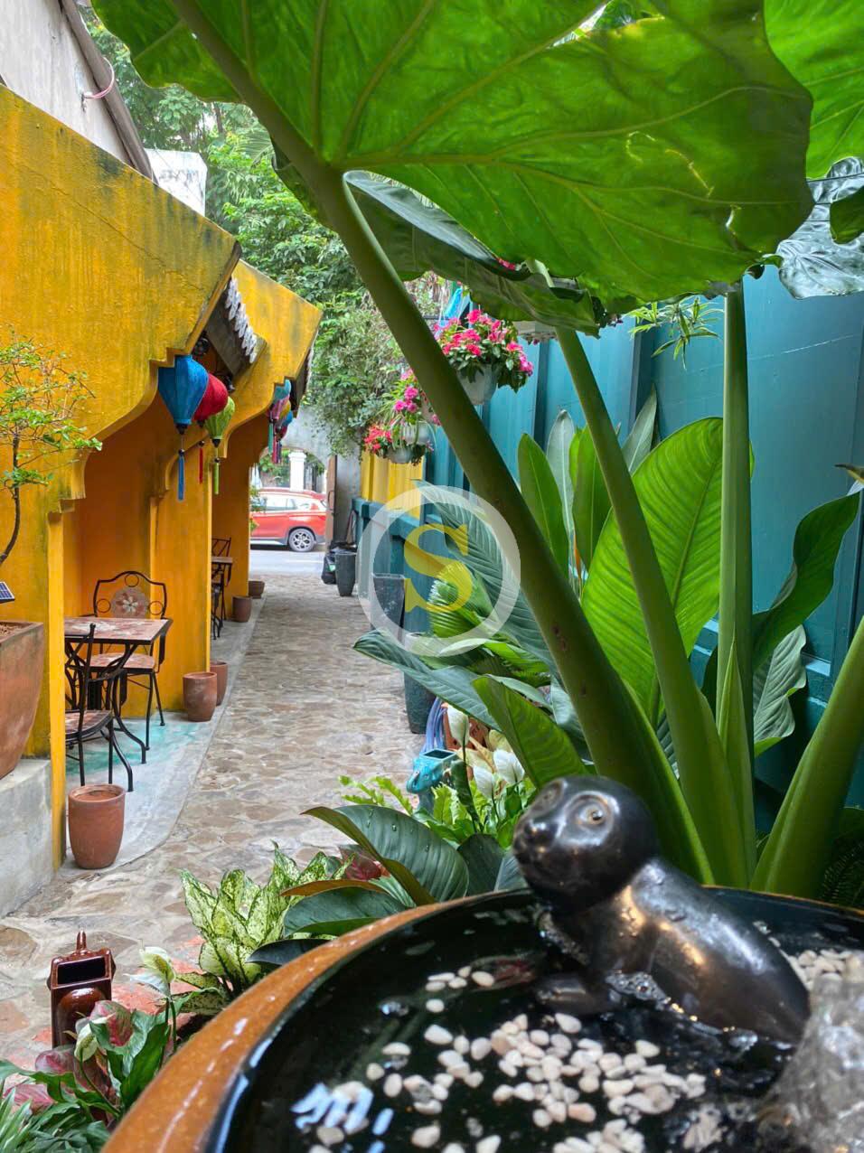 CHO THUÊ NHÀ MẶT TIỀN SỐ 25C TÚ XƯƠNG, PHƯỜNG VÕ THỊ SÁU, QUẬN 3, HỒ CHÍ MINH CHO THUÊ NHÀ MẶT TIỀN SỐ 25C TÚ XƯƠNG, PHƯỜNG VÕ THỊ SÁU, QUẬN 3, HỒ CHÍ MINH