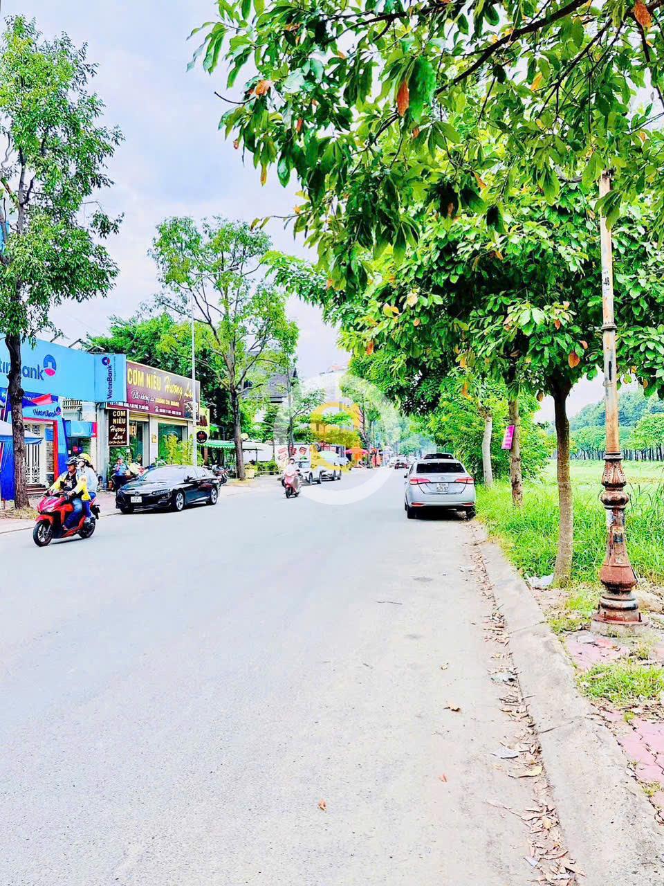 CHO THUÊ NHÀ MẶT TIỀN SỐ 71 SONG HÀNH, PHƯỜNG AN PHÚ, QUẬN 2, HỒ CHÍ MINH CHO THUÊ NHÀ MẶT TIỀN SỐ 71 SONG HÀNH, PHƯỜNG AN PHÚ, QUẬN 2, HỒ CHÍ MINH