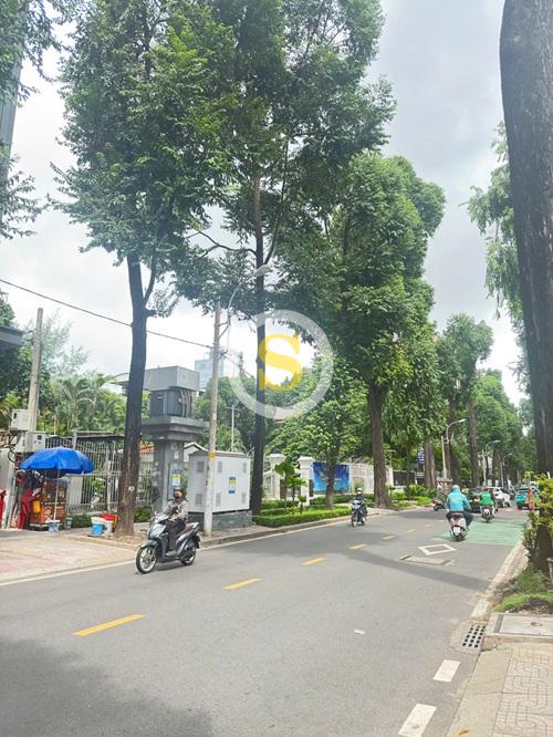 CHO THUÊ TOÀ NHÀ GÓC 2MT SỐ 19B PHẠM NGỌC THẠCH, PHƯỜNG VÕ THỊ SÁU, QUẬN 3, HỒ CHÍ MINH CHO THUÊ TOÀ NHÀ GÓC 2MT SỐ 19B PHẠM NGỌC THẠCH, PHƯỜNG VÕ THỊ SÁU, QUẬN 3, HỒ CHÍ MINH